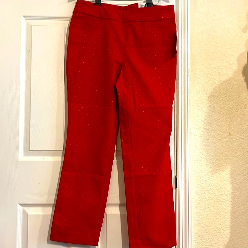 Kim rogers, size 12 p,color red .brand new